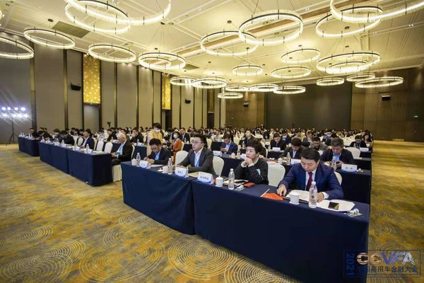 元览实时关注：2021中国商用车金融大会在南京隆重召开