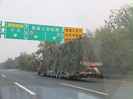 元览实时关注：即日起至7月20日 河南高速严查货车违法